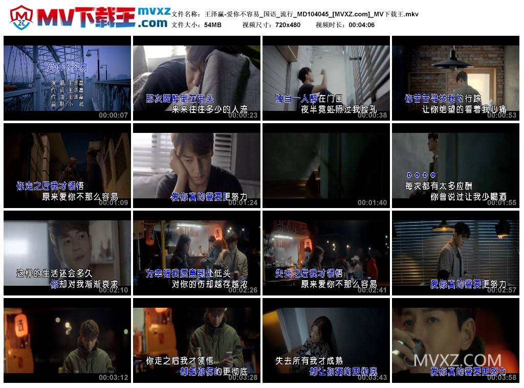 王泽赢-爱你不容易_国语_流行_MD104045